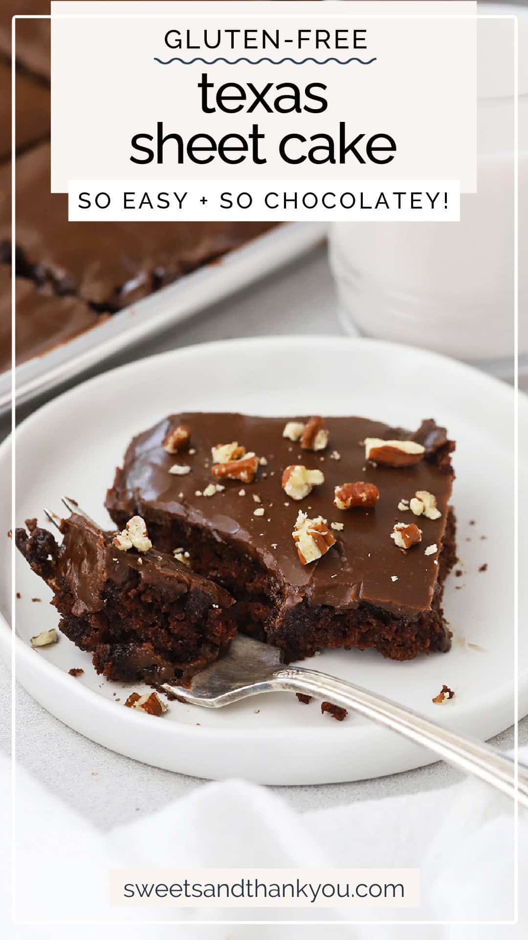 Gluten-Free Texas Sheet Cake - This is the gluten-free Texas chocolate sheet cake recipe you've been waiting for! All the classic chocolate flavor & delicious texture you love--just made gluten-free! // easy gluten free chocolate sheet cake recipe // gluten free chocolate cake recipe // gluten free chocolate cake with chocolate frosting // easy gluten free cake recipe // gluten free texas sheet cake with pecans // gluten free texas sheet cake without pecans
