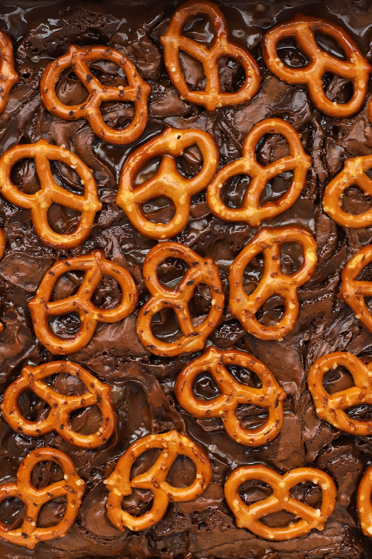 Gluten-Free Caramel Pretzel Brownies