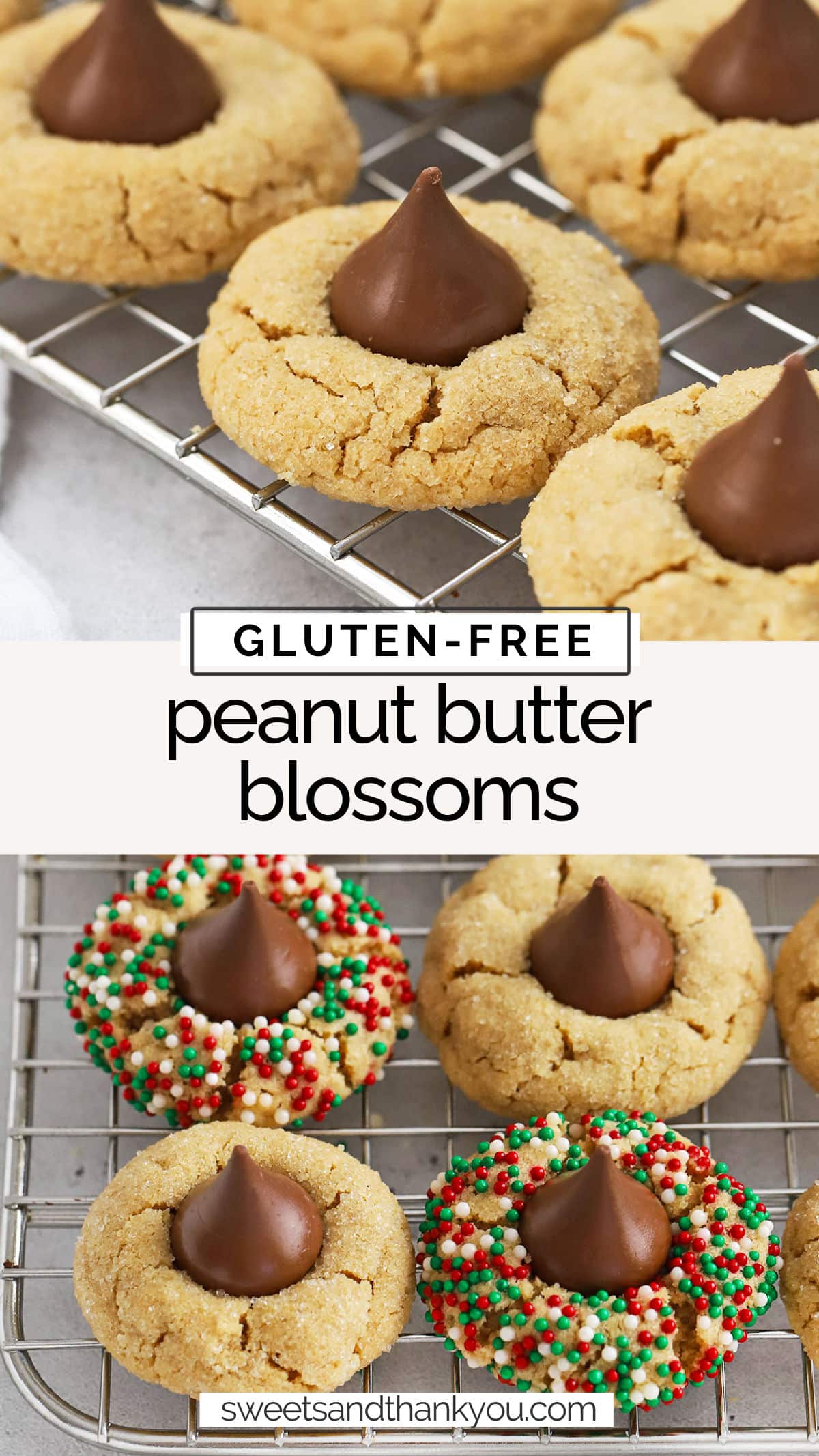 Gluten-Free Peanut Butter Blossoms - This gluten-free peanut butter blossom recipe combines soft, chewy peanut butter cookies with chocolate kiss candies. // gluten free peanut butter blossoms recipe / easy gluten-free peanut butter blossom cookies / gluten-free christmas cookies / gluten-free holiday cookies / gluten-free blossom cookies / gf peanut butter blossoms recipe / the best gluten-free peanut butter blossoms / gluten-free cookie exchange recipes