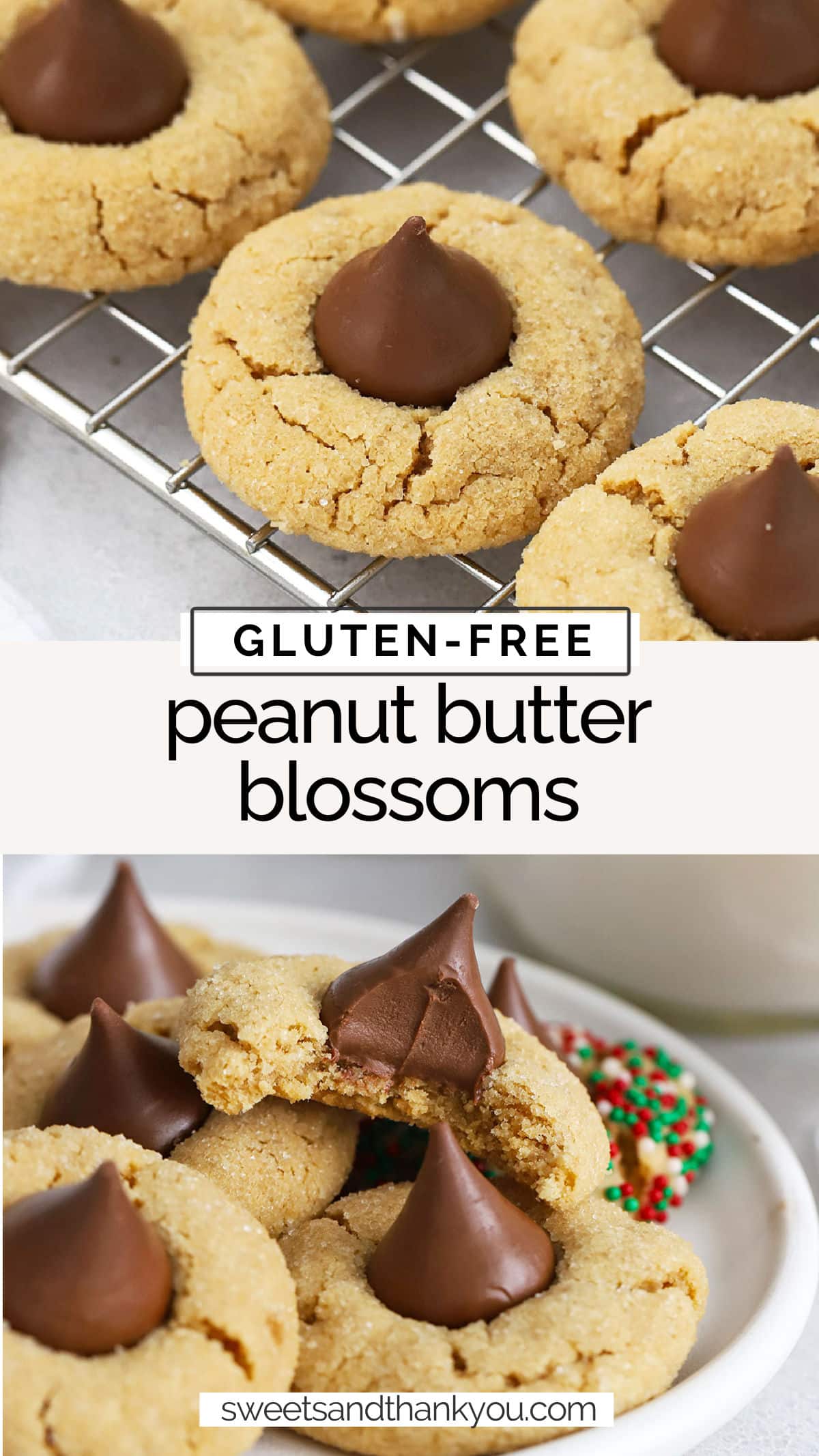 Gluten-Free Peanut Butter Blossoms - This gluten-free peanut butter blossom recipe combines soft, chewy peanut butter cookies with chocolate kiss candies. // gluten free peanut butter blossoms recipe / easy gluten-free peanut butter blossom cookies / gluten-free christmas cookies / gluten-free holiday cookies / gluten-free blossom cookies / gf peanut butter blossoms recipe / the best gluten-free peanut butter blossoms / gluten-free cookie exchange recipes