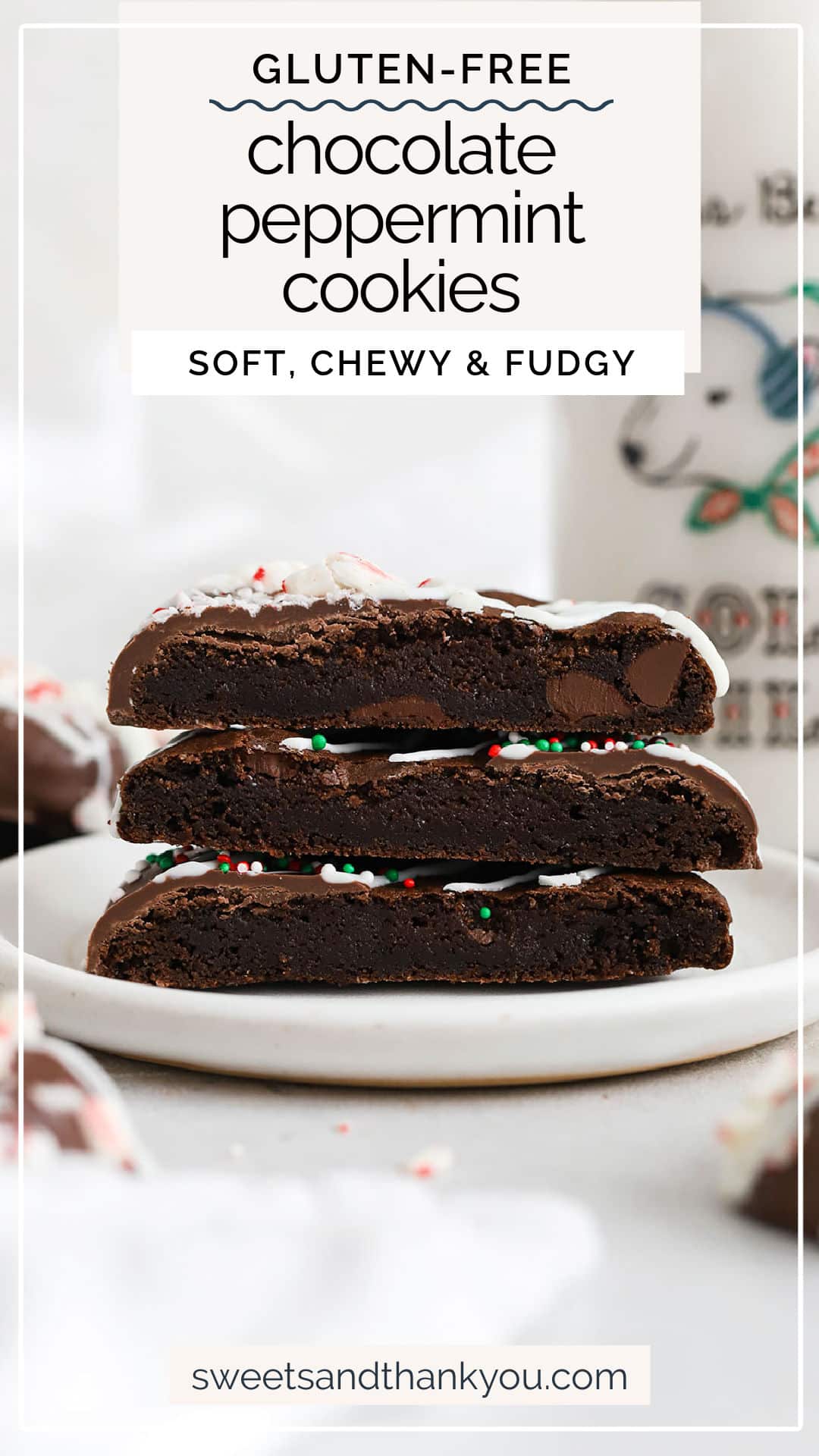 Gluten-Free Chocolate Peppermint Cookies - These fudgy gluten0free chocolate candy cane cookies have a brownie-like texture, a double dose of chocolate & a few fun finishes. A perfect holiday cookie! // gluten-free peppermint cookies / gluten-free holiday cookies / gluten-free christmas cookies / glute-free peppermint brownie cookies / gluten-free chocolate peppermint cookie recipe / gluten-free peppermint cookie recipe / gluten-free candy cane cookie recipe