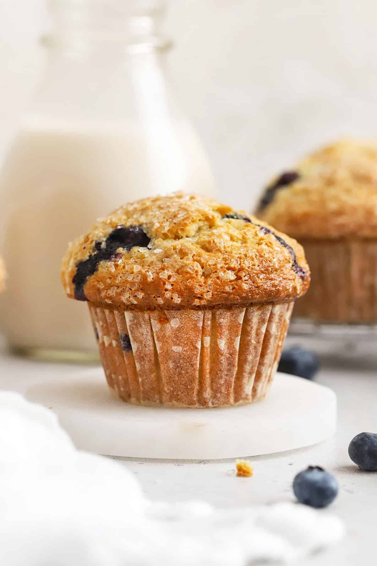bakery-style gluten-free blueberry muffins with fresh blueberries