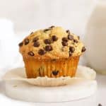 bakery style gluten-free chocolate chip muffin with mini chocolate chips