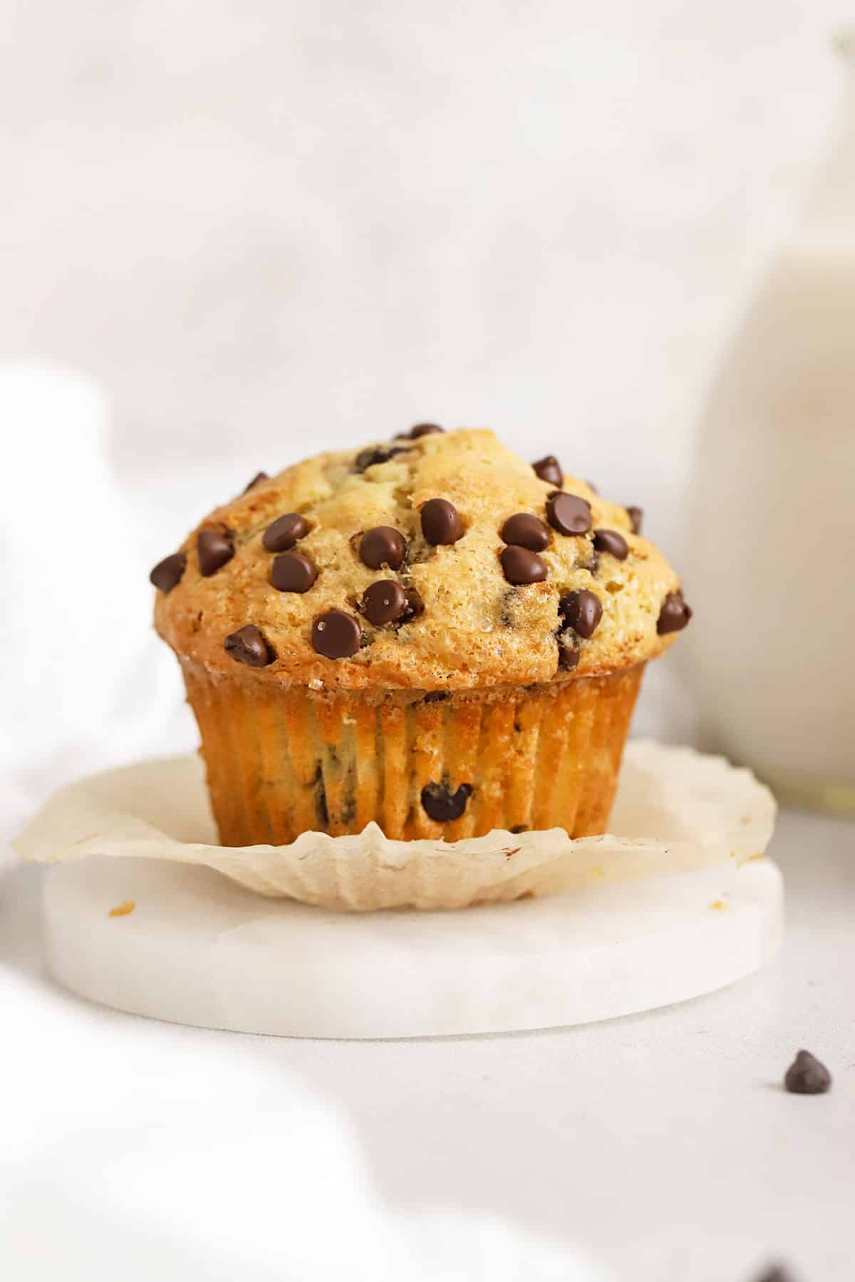 bakery style gluten-free chocolate chip muffin with mini chocolate chips