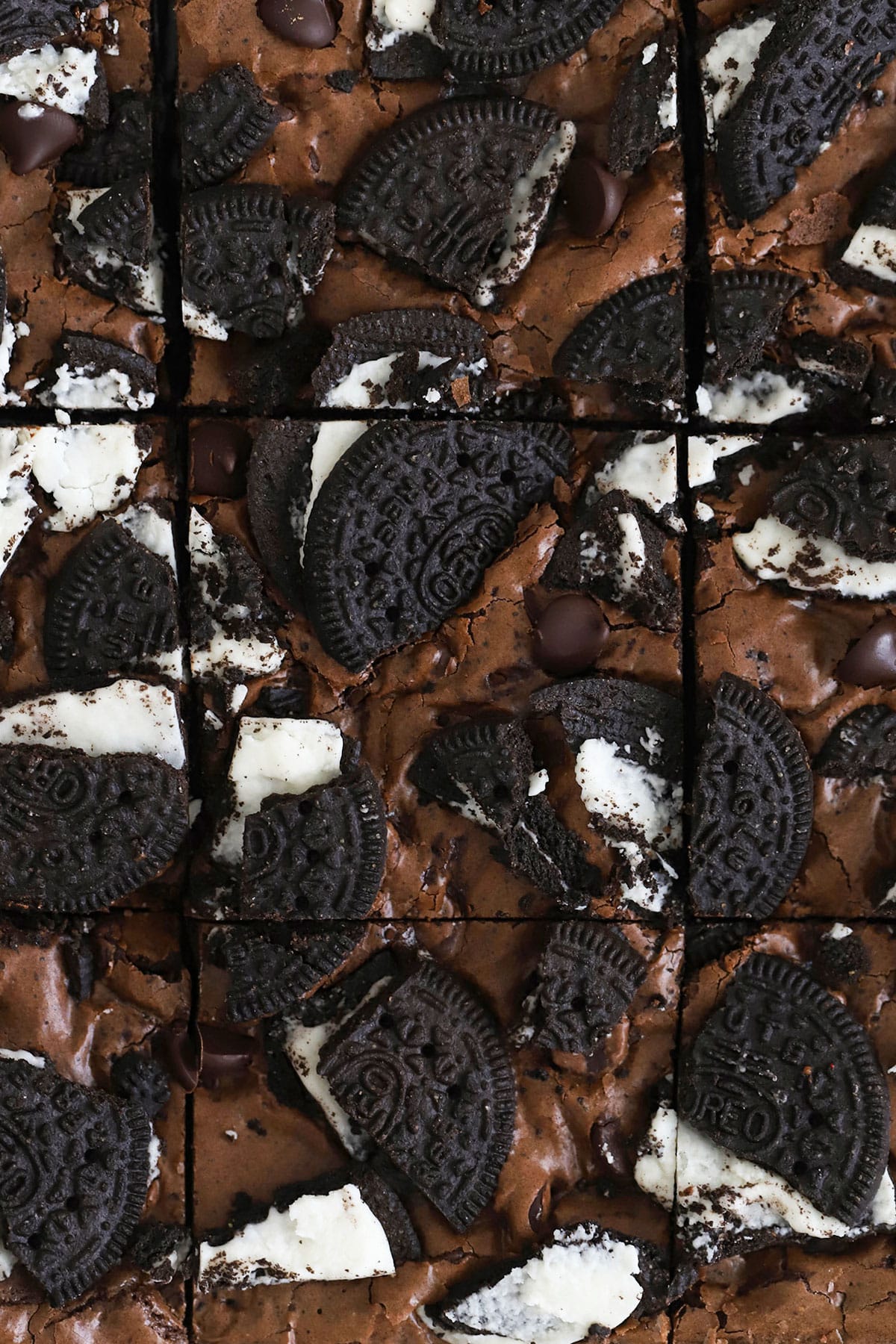 close up view of gluten-free oreo brownies cut into squares