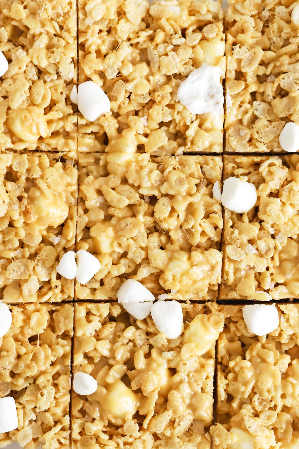 gluten-free peanut butter rice krispies treats cut into squares