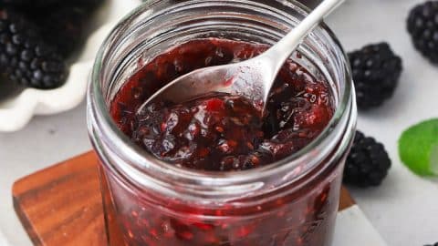 Easy Blackberry Freezer Jam (Less Sugar Recipe!)